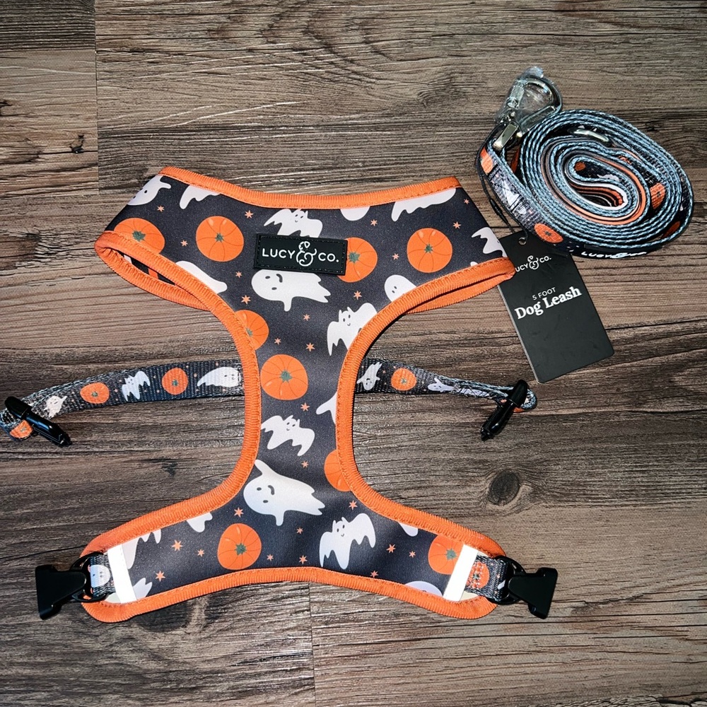 Harness and Leash Set: The Happy Haunting Large Lucy & Co.